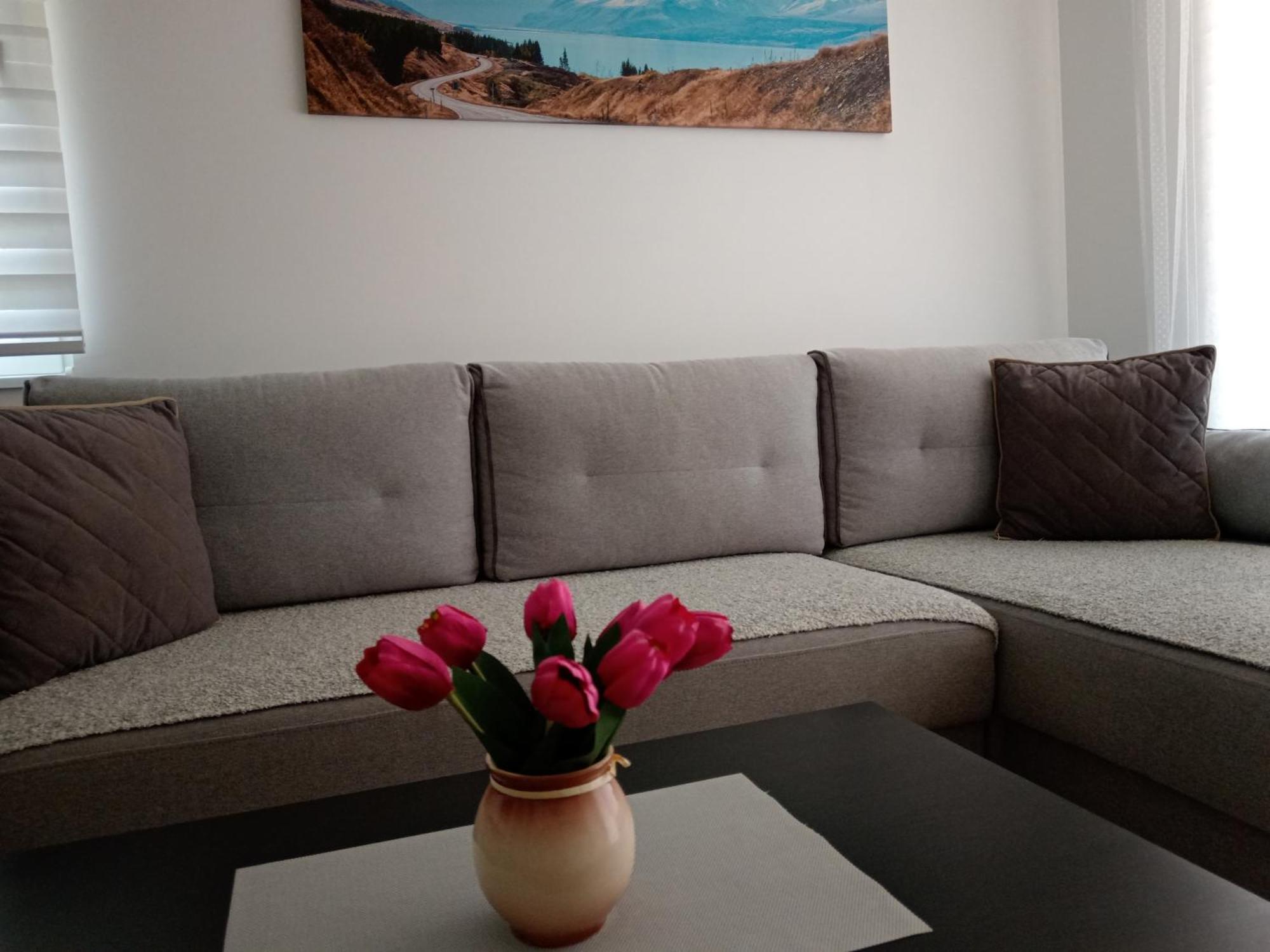 Mk Zlatibor Apartment ภายนอก รูปภาพ